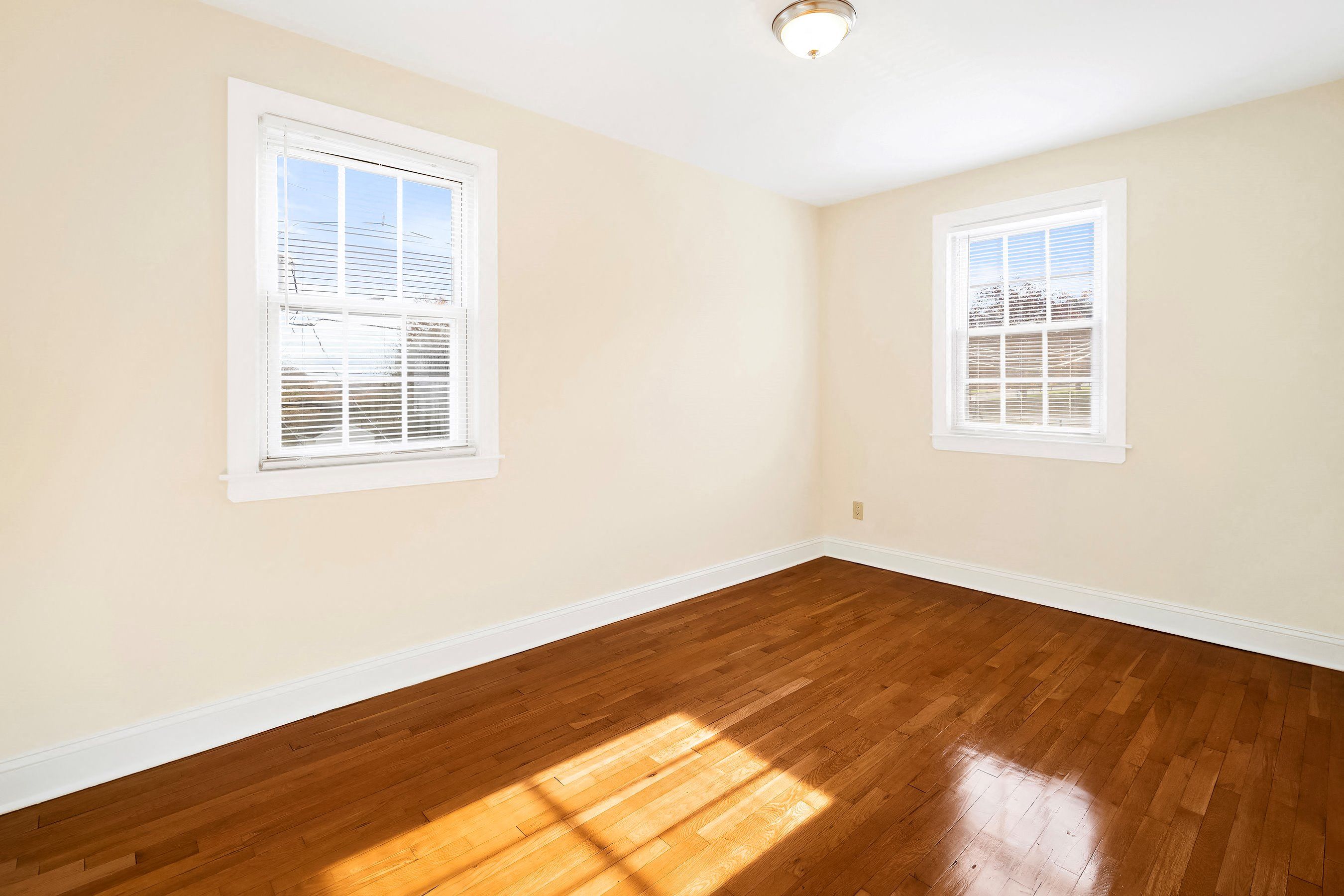 Gallery Photo 11